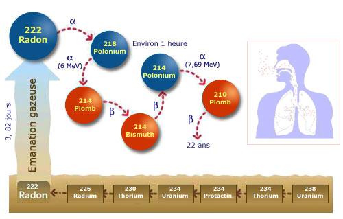 désintégration radioactive de l'uranium